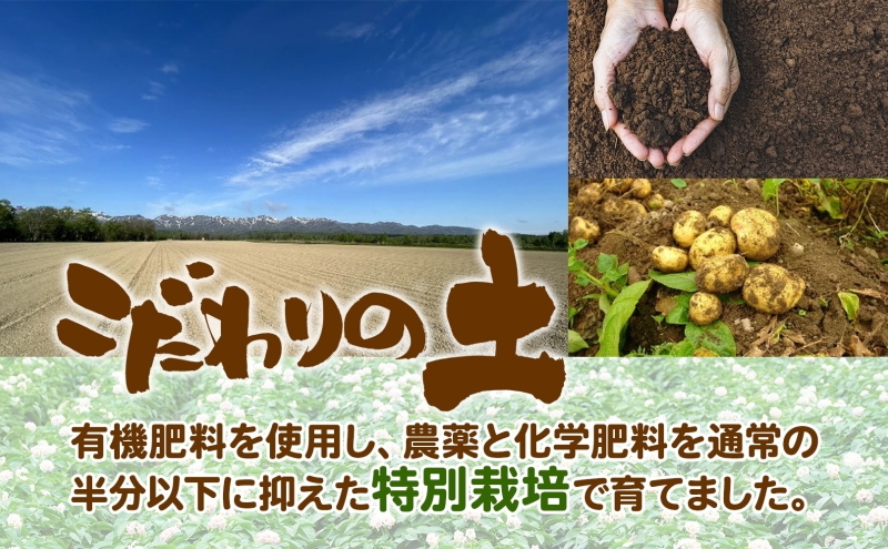 ＜2024年秋以降出荷＞北海道 特別栽培 じゃがいも きたあかり M～2L 約 10kg ジャガイモ 馬鈴薯 芋 いも イモ ポテト 野菜 根菜 旬 北海道産 国産 生 ホクホク 甘い 人気 農作物 