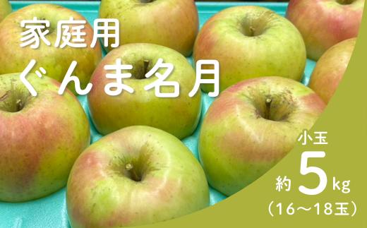 KR43-25A りんご ぐんま名月 家庭用【小玉】 約5㎏（16～18玉） / 11月上旬頃～配送予定 // 長野県 南信州 リンゴ 林檎 名月 訳あり 自家用 農家直送 農家支援 産地直送