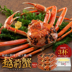 【期間限定】 越前ガニ 茹で 1kg以上 3杯 越前かに 越前ガニ
