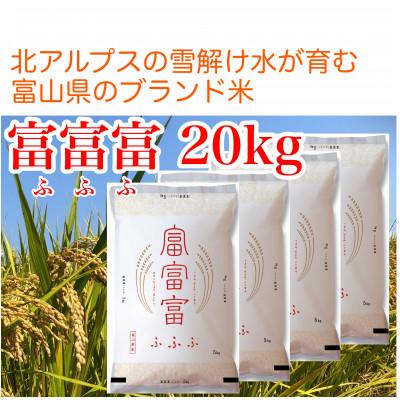 ふるさと納税 魚津市 富山米「富富富」20kg(白米5kg×4袋)