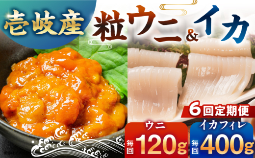 【全6回定期便】【冷凍】壱岐産剣先イカフィレ(80g)×5枚　壱岐産粒うに瓶60g×1本　《壱岐市》　【一支國屋】 [JCC018]