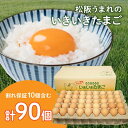 【ふるさと納税】【卵】松阪うまれのいきいきたまご（90個入り（割れ補償含む））たまご タマゴ 玉子