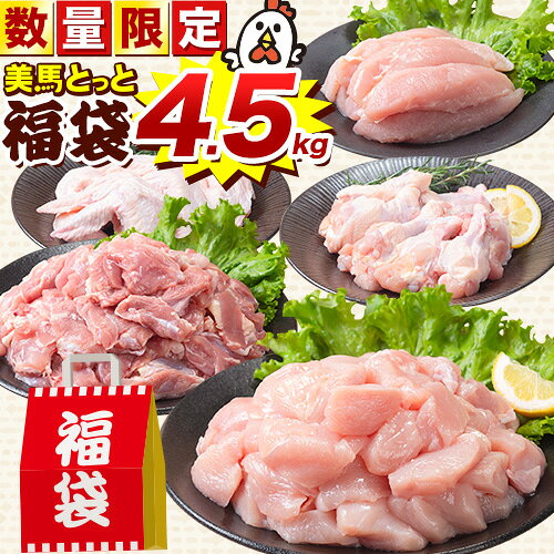 【ふるさと納税】＜年末限定！＞ 鶏肉 美馬とっと 福袋 《12月上旬-1月中旬頃出荷》 数量限定 大容量 家族用 ファミリーパック ふるさと納税 鶏肉 ふるさと納税 福袋 鶏肉 もも 鶏肉 小分け 鶏肉 むね 鶏肉 もも 小分け とり肉 鶏肉 ささみ 徳島県 美馬市 楽天限定