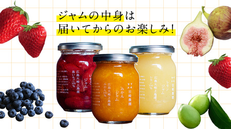 岩﨑農園 無添加 手作り ジャム 200g 3本 広島県 大崎上島町 瀬戸内 離島 農家 完全受注生産 新鮮 フレッシュ フルーツ いちじく みかん いちご ブルーベリー キウイ 果物 詰め合わせ パ
