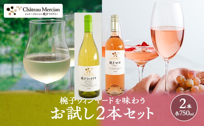 限定 ワイン 椀子ヴィンヤードを味わうお試し セット 2本 