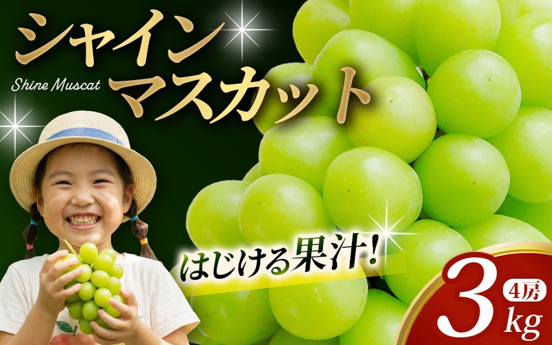 
                  かつらぎ町産　シャインマスカット 約3kg（4房）【2026年8月中旬～9月中旬ごろ順次発送】【AQ-ikd731】
                
