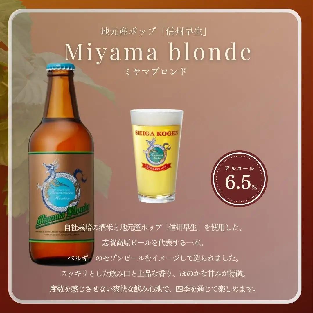 定期便 3ヶ月 クラフトビール 志賀高原ビール 24本 セット 玉村本店 クラフトビール