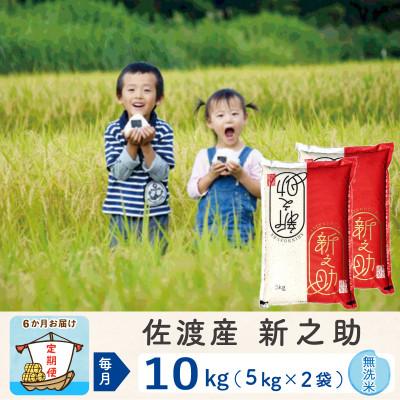 ふるさと納税 佐渡市 【毎月定期便】佐渡島産新之助 無洗米10kg全6回