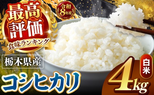 【令和8年産 先行予約】 ＼訳あり／ こしひかり 新米 白米 4kg | 米 お米 こめ コメ 白米 ライス ご飯 ごはん 美味しい 米 とちぎの星 こしひかり コシヒカリ 4kg 銘柄米 ブランド米 令和8年産 産地直送  新米  国産 国産米 栃木県産 お米 栃木県産米 お取り寄せ  2026年産 米 kome 栃木県 真岡市