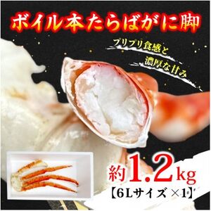 ボイル本たらばがに脚 6L×1肩(約1.2kg)【配送不可地域：離島】【1692168】
