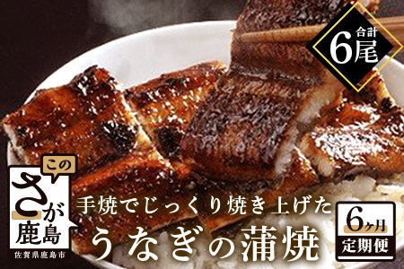 国産 うなぎの蒲焼 １尾入り【６か月定期便】【うなぎ 秘伝のタレ付き 鰻の蒲焼 密封パック入り 国産 うなぎ蒲焼 ウナギ 備長炭 うなぎ定期便 毎月届くウナギのかば焼き定期便】 I-20