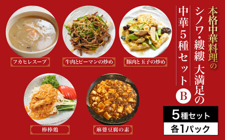 中華 5種セットB 中華