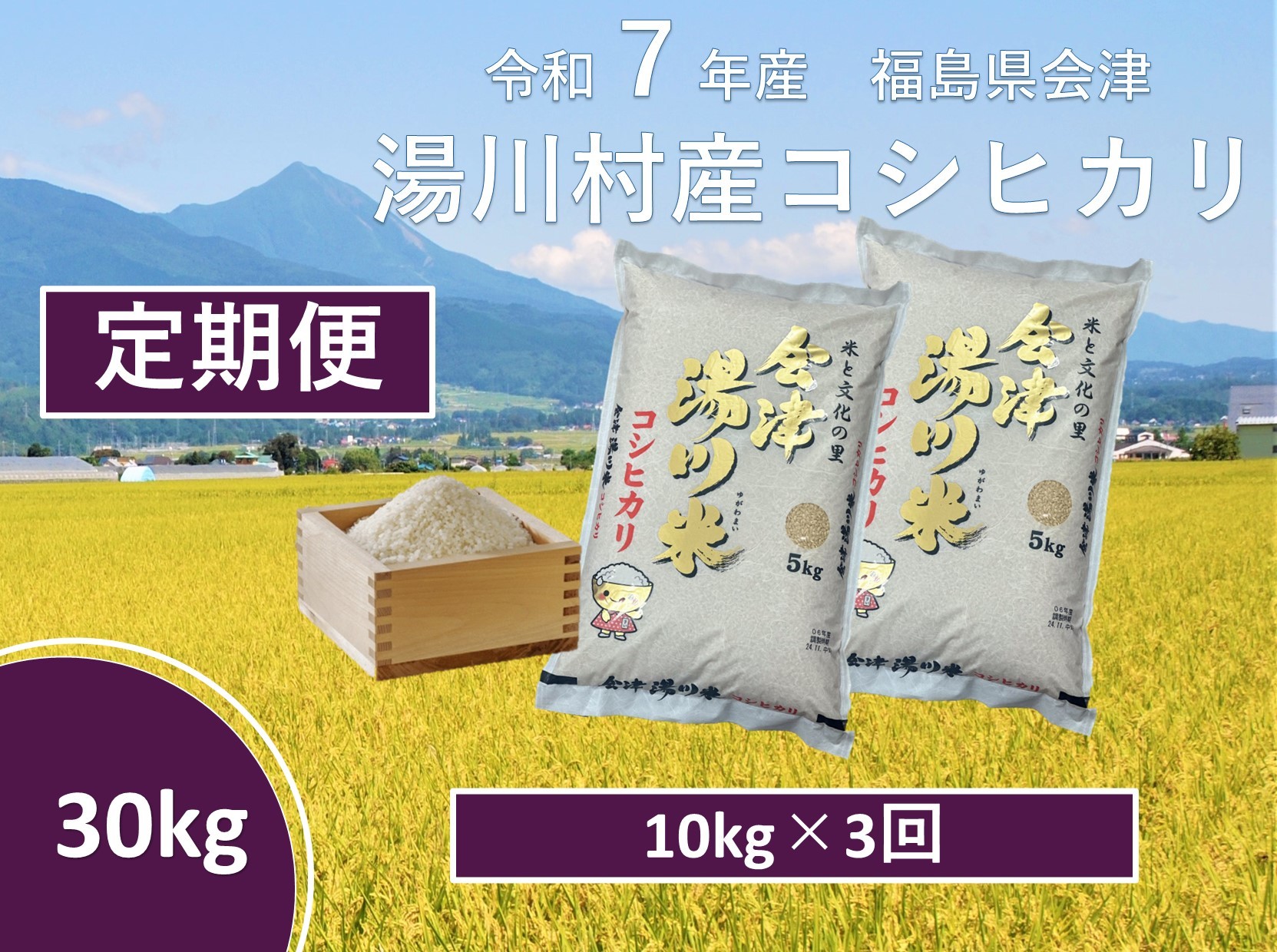 
            令和7年産湯川村産コシヒカリ　玄米30kg(10㎏×3回)【全3回定期便　R8.1月・3月・5月発送】
          