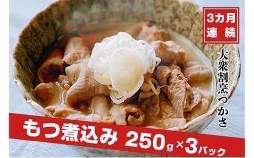 
【定期便】大衆割烹つかさもつ煮込み250g×3Pギフト 3ヶ月定期便
