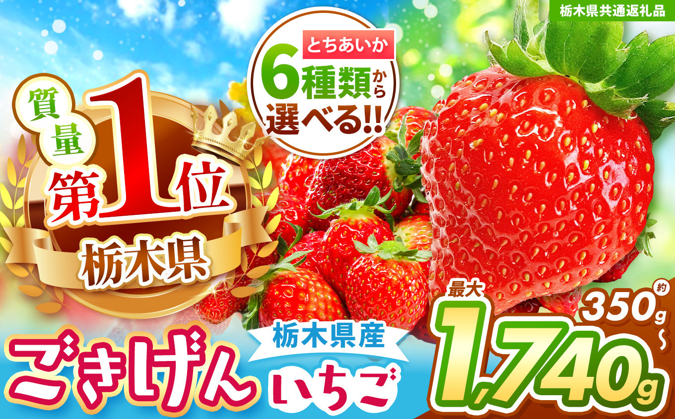 
            【栃木県共通返礼品】【チョイス限定企画】【先行予約】6種類から選べる！とちあいか 350g~1740g | いちご とちあいか 香貴 朝採れ 大粒 新鮮 甘い  数量 限定 美味しい 果物 共通返礼品 フルーツ デザート 栃木県 那珂川町 送料無料
          