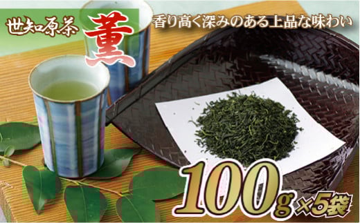 世知原茶｢薫｣5本セット