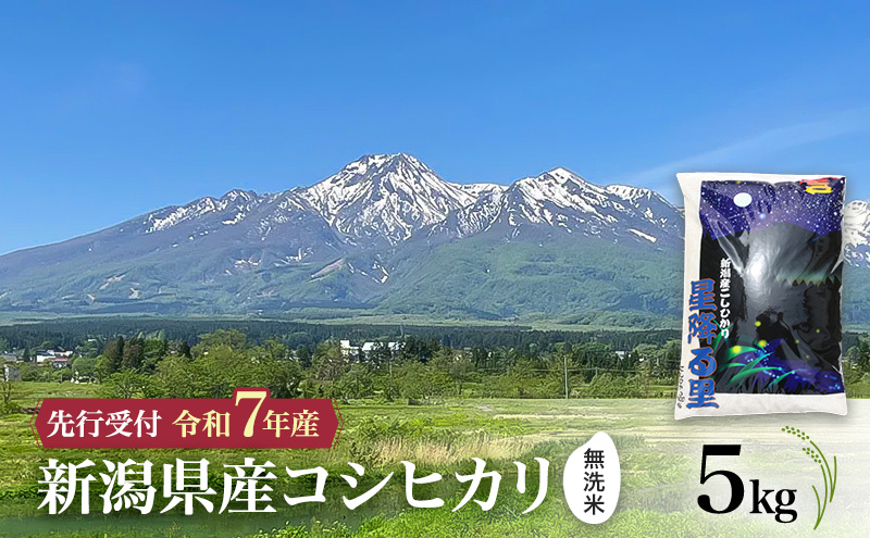 【令和7年産 | 無洗米 コシヒカリ】10月中旬より順次発送　無洗米　新潟県産コシヒカリ 5kg 上越市 米 こめ コメ お取り寄せ