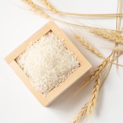 ふるさと納税 与謝野町 【令和7年産米】京都府与謝野町産 丹後コシヒカリ 精米20kg　特別栽培米 京の豆っこ米 |  | 01