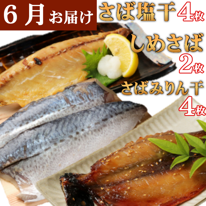 室戸流藁焼きタタキと地魚干物定期便B（年６回・偶数月お届け）_イメージ4