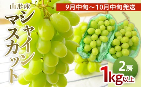 山形のぶどう シャインマスカット 1kg以上(2房)[9月中旬～10月中旬お届け]【令和8年産先行予約】FS24-575 くだもの 果物 フルーツ 山形 山形県 山形市 2026年産