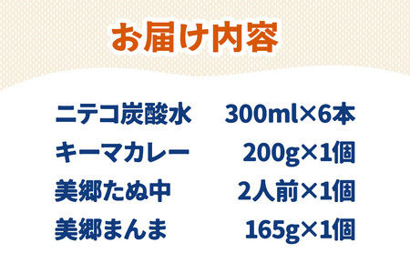 ニテコ炭酸水6本とたぬ中・キーマカレー・美郷まんまのセット 炭酸飲料 カレー キーマカレー レトルト 中華麺 まぜごはん
