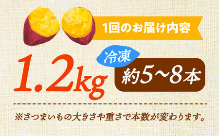 【全12回定期便】ねっとり濃厚！『てくてく』の壺焼き芋 1.2kg さつまいも 人気 お菓子 スイーツ 美味しい 和菓子 ギフト プレゼント 江田島市/峰商事 合同会社[XAD050]