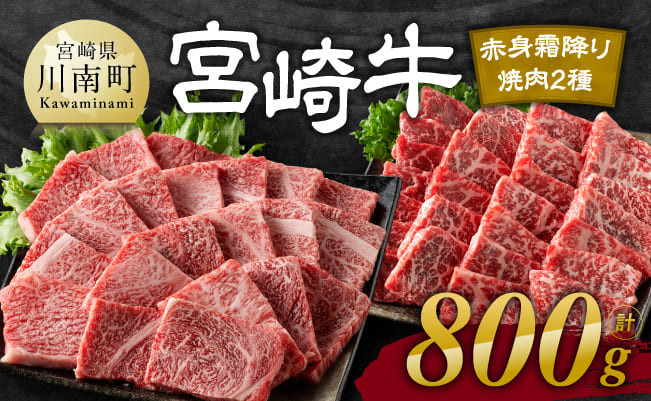 【令和7年11月発送】宮崎牛赤身霜降り焼肉2種 800g【肉 牛肉 国産 宮崎県産 宮崎牛 黒毛和牛 和牛 焼肉 BBQ 4等級  A4ランク 肩ロース ウデ モモ E11124】