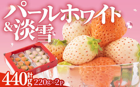 【先行予約】白石産 希少 白いちご「淡雪」＆「パールホワイト」食べ比べ セット 計440g / イチゴ 苺 ブランド果物 フルーツ 佐賀県産 白石町産 九州 佐賀県 白石町 [ICQ001]