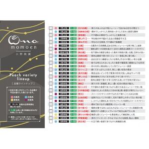 【王道硬めのエース川中島白桃】人気品種指定ギフト3年連続TV出演話題ブランド2024年8月上旬発送【配送不可地域：離島・北海道・沖縄県・中国・四国・九州】【1465326】