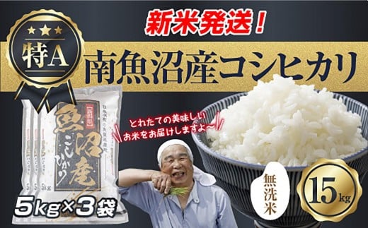 
            「無洗米」 令和7年産 新潟県 南魚沼産 コシヒカリ お米 5kg×3袋 計 15kg 精米済み（お米の美味しい炊き方ガイド付き） お米 こめ 白米 こしひかり 食品 人気 おすすめ  魚沼 南魚沼 南魚沼市 新潟県産 新潟県 精米 産直 産地直送
          