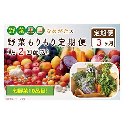 ふるさと納税 行方市 【2週間毎定期便】【3ヶ月定期便】野菜王国なめがたの野菜もりもり定期便　月2回発送CU-140全6回