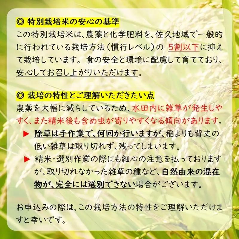 【令和8年産・玄米24kg（4kg×6袋）】特別栽培米　五郎兵衛米 〈2026年9月下旬頃～順次発送〉 先行予約　新米　信州　こしひかり