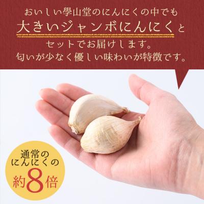 ふるさと納税 肝付町 〈先行受付〉學山堂のにんにくミックスセット(計1.2kg)鹿児島 国産 　A69004 |  | 02