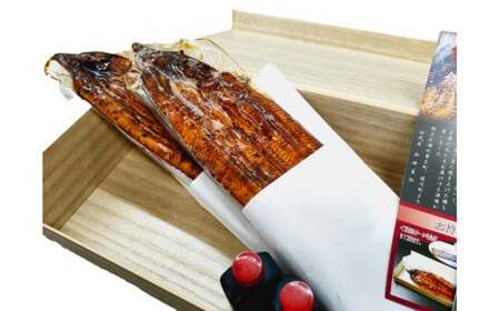 【ふるさと納税】＜うなぎ専門店「大正軒」の蒲焼き 有頭 特大2尾 約400g 5人前＞ 鰻 ウナギ 贈答用 関西風 国産 手焼き【冷蔵】高知県 佐川町 ふっくら 肉厚　＜2～5ヶ月程度で発送予定・日付