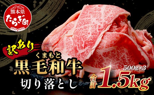 
                  【訳あり】くまもと黒毛和牛 切り落とし 1.5kg(500g×3) 本場 熊本県 黒毛 和牛 ブランド 牛 肉 1キロ 大容量 上質 くまもと 訳アリ 小分け 冷凍 すき焼き しゃぶしゃぶ 113-0560
                