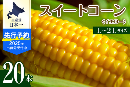 【2025年分先行予約】とうもろこし 生産量 日本一  北海道 芽室町産 スイートコーン イエロー種 L ～ 2L サイズ たっぷり 20本 人気 キャンプ飯 BBQ ソロキャン コーン 生 甘い 野菜 北海道 十勝 芽室町 めむろme002-014c-25