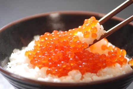網走老舗の特製いくら醤油漬 500g（網走加工）【 ふるさと納税 人気 おすすめ ランキング いくら醤油漬 イクラ醤油漬 いくら醤油漬け イクラ醤油漬け 鮭いくら 鮭イクラ 鮭 鮭卵 いくら イクラ北