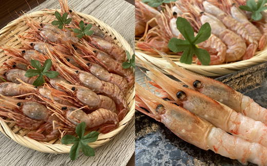 8-010-002　ましけのボタンエビ 700g（350g×2）