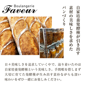 【全2回定期便】よつ葉バターの香り♪酵母クロワッサン１０個 065-06-T01