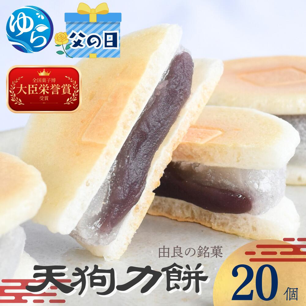 【ふるさと納税】【父の日】老舗の味 天狗力餅20個和菓子 力もち こし餡 職人の手作り | お土産 ご当地 由良町 お取り寄せ もち 餡 あんこ 人気 おすすめ 食品 和歌山
