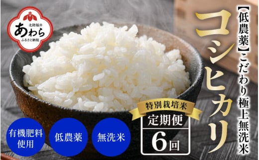 【先行予約】【令和7年産 新米】《定期便》5kg×6回 30kg 特別栽培米 コシヒカリ 無洗米 低農薬 《食味値85点以上！こだわり極上無洗米》 / 福井県 あわら 北陸 米 お米 人気 高品質 鮮度抜群 新米 ※2025年9月中旬より順次発送