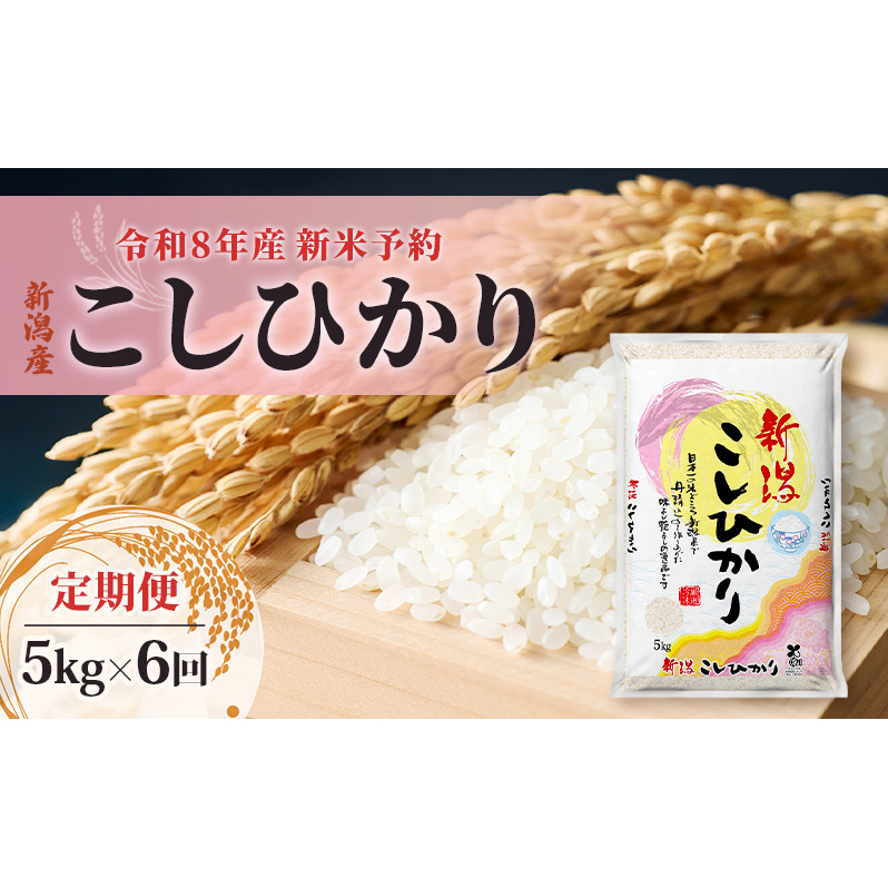 【先行予約】【定期便 6ヶ月】令和8年産 新米 新潟県産 コシヒカリ 5kg×6回 (計30kg) 米 お米 こしひかり 精米 白米 新潟市