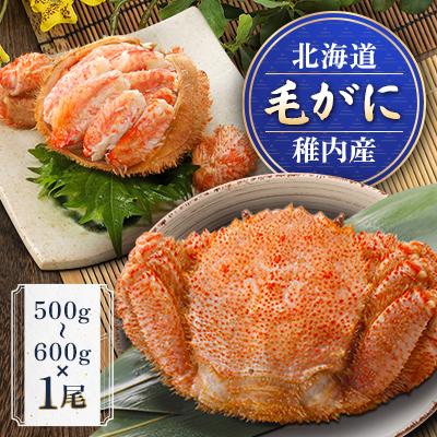 ふるさと納税 稚内市 稚内産毛がに　500g〜600g×1尾