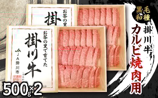 掛川牛(黒毛和種)カルビ焼肉用 500g×2(冷凍)【1670602】
