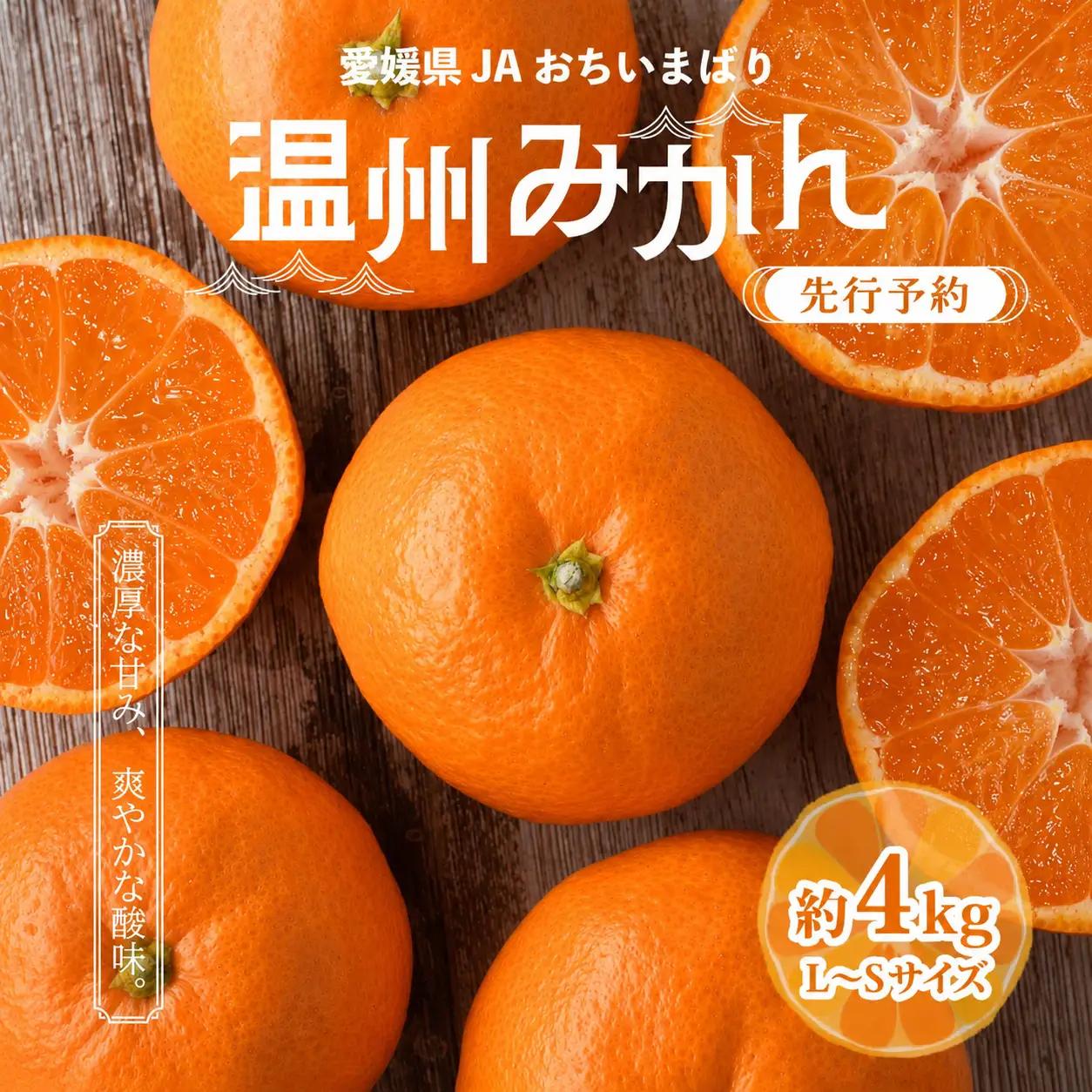 みかん 【先行予約】瀬戸内の温州みかん4kg L～S