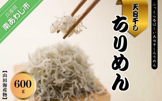 淡路島産 新鮮無添加特上品「天日干しちりめん600g」化粧箱入り