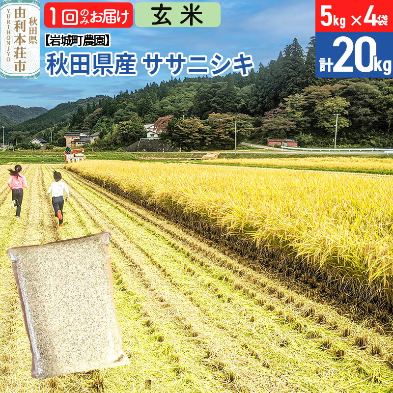 【ふるさと納税】《令和7年産》【玄米】ササニシキ 20kg(5kg×4袋) 秋田県 由利本荘市産 令和7年産 真空パック 岩城町農園