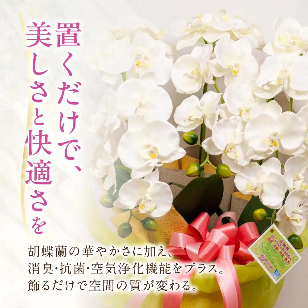 光触媒造花胡蝶蘭 10本立（ピンク)｜胡蝶蘭