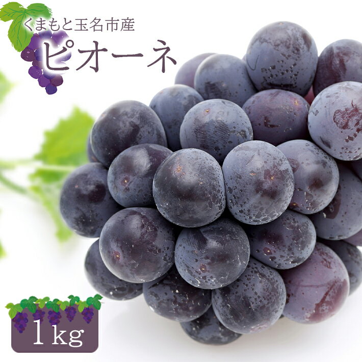 【ふるさと納税】ぶどう ピオーネ 約1kg 東ぶどう園 産地直送 生産者直送 先行予約 熊本 玉名 送料無料