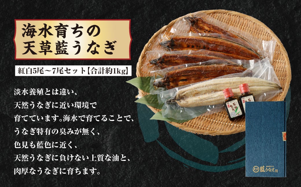 【定期便】3か月のご褒美！上天草山海贅沢セット